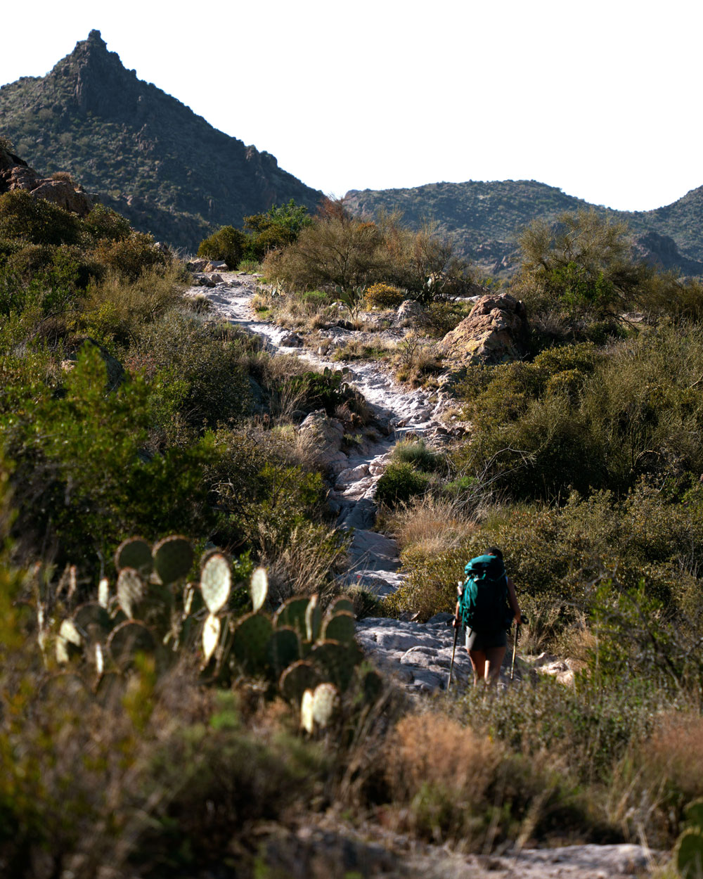 alternative-to-surgery alternative-to-surgery